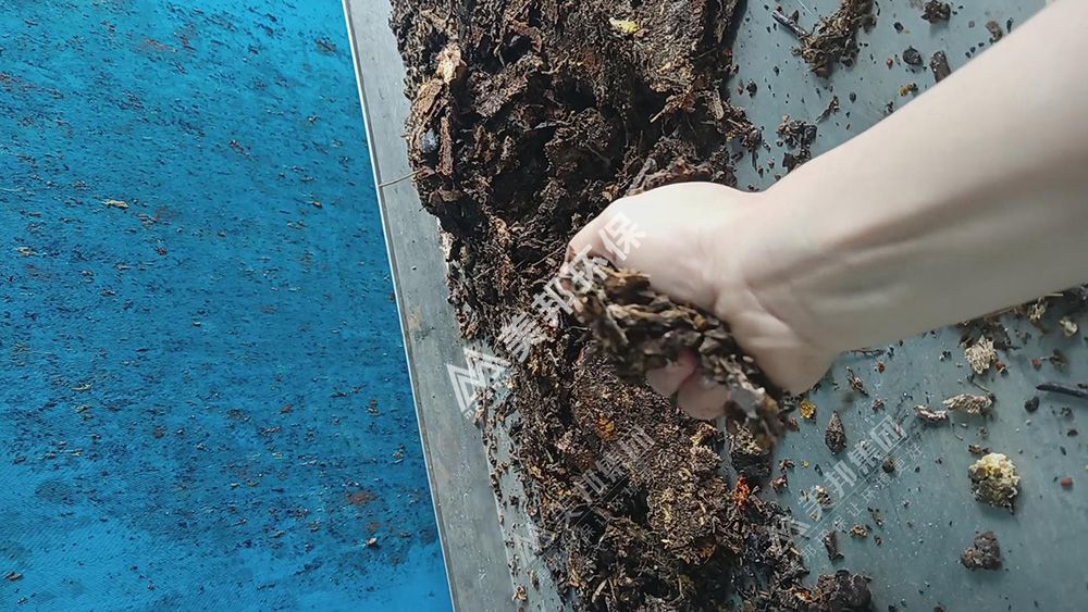 帶式壓榨機(jī)脫水后的中藥渣手抓不出水